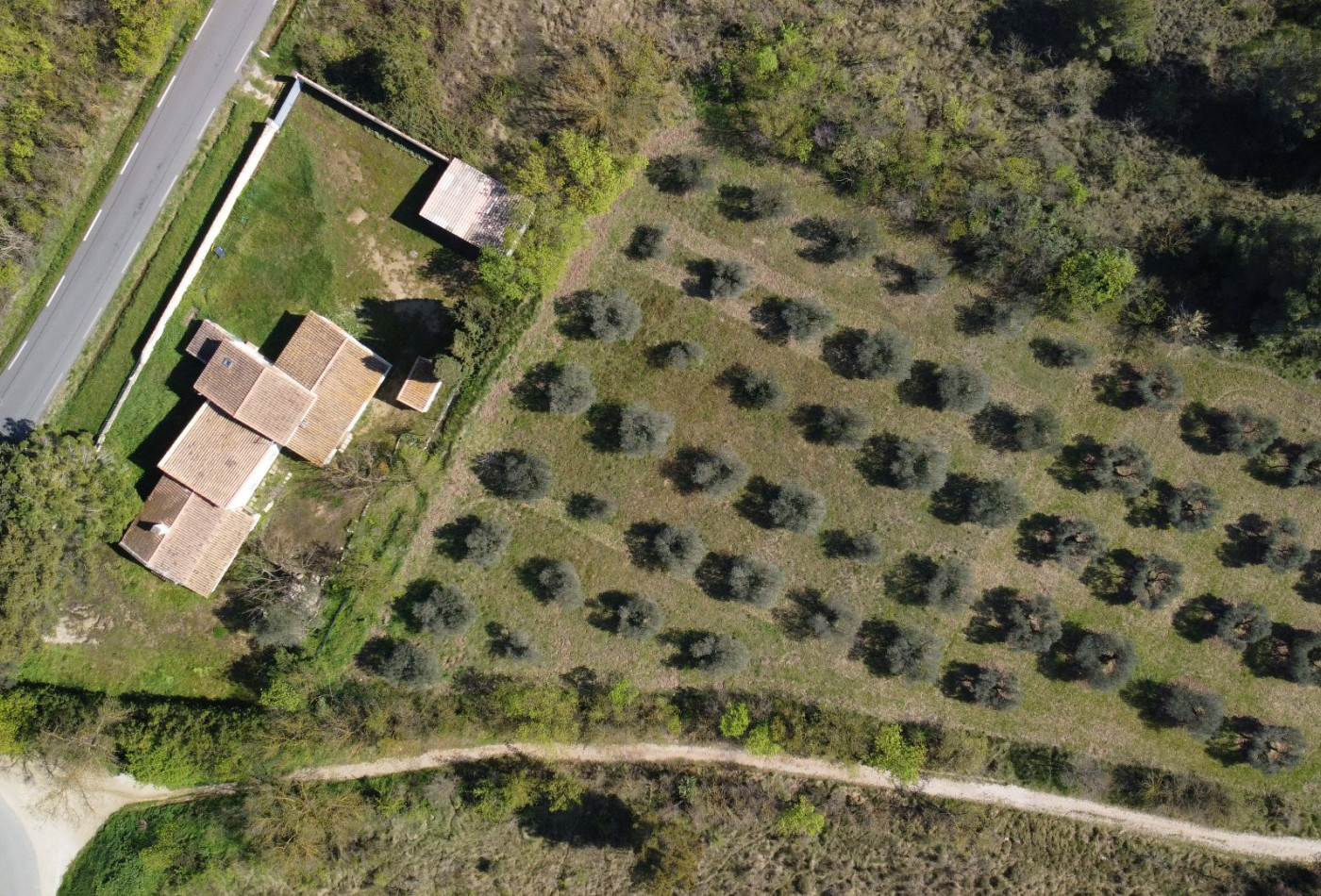 vente Maison Paradou - Photo 8