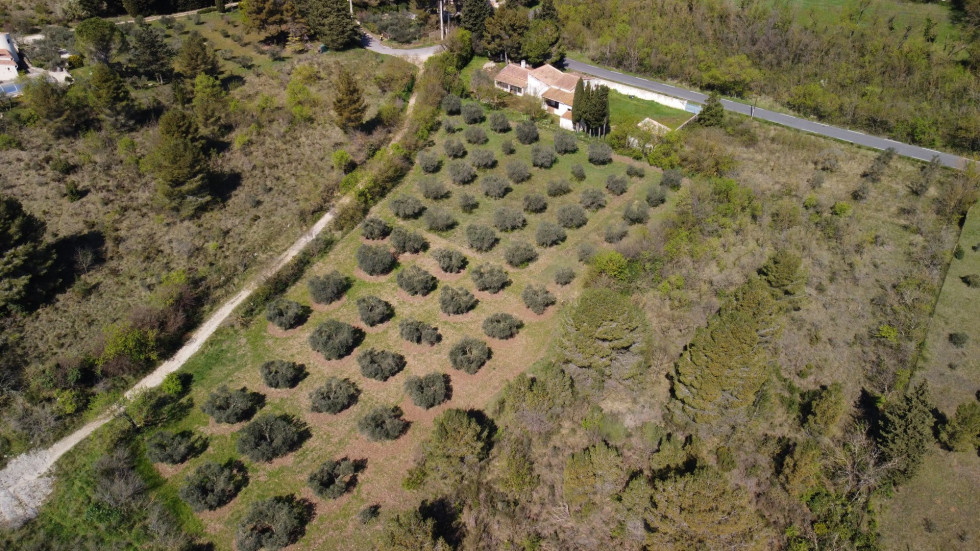 vente Maison Paradou - Photo 9