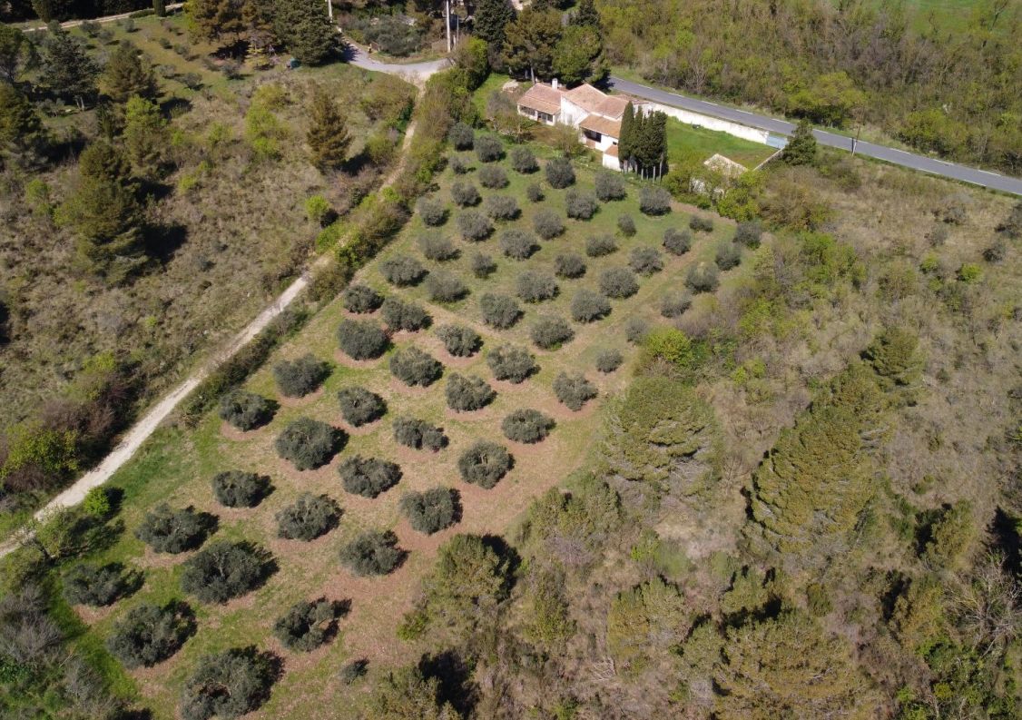 vente Maison Paradou