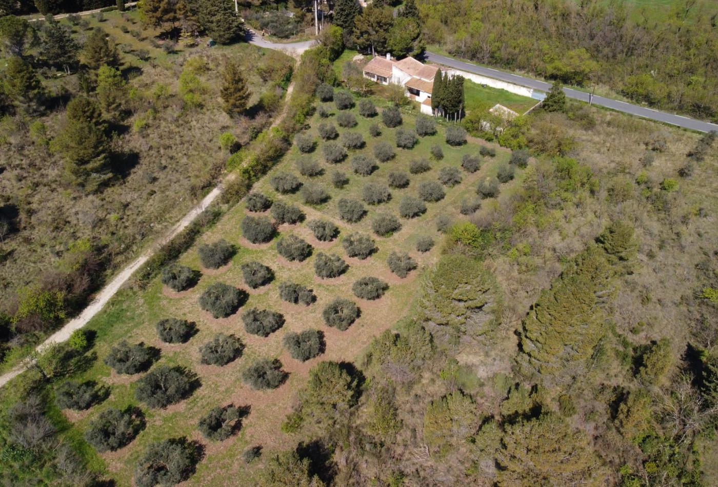 vente Maison Paradou - Photo 9