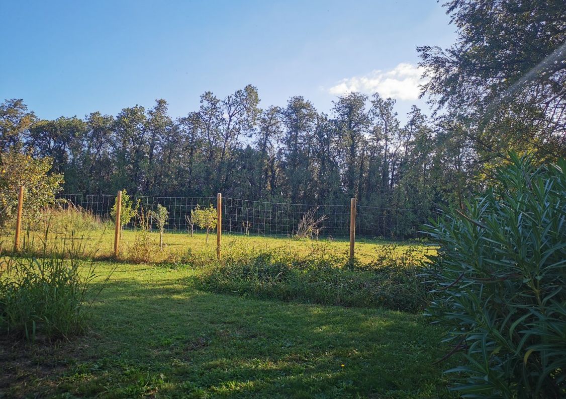 vente Maison en pierre L'isle Sur La Sorgue