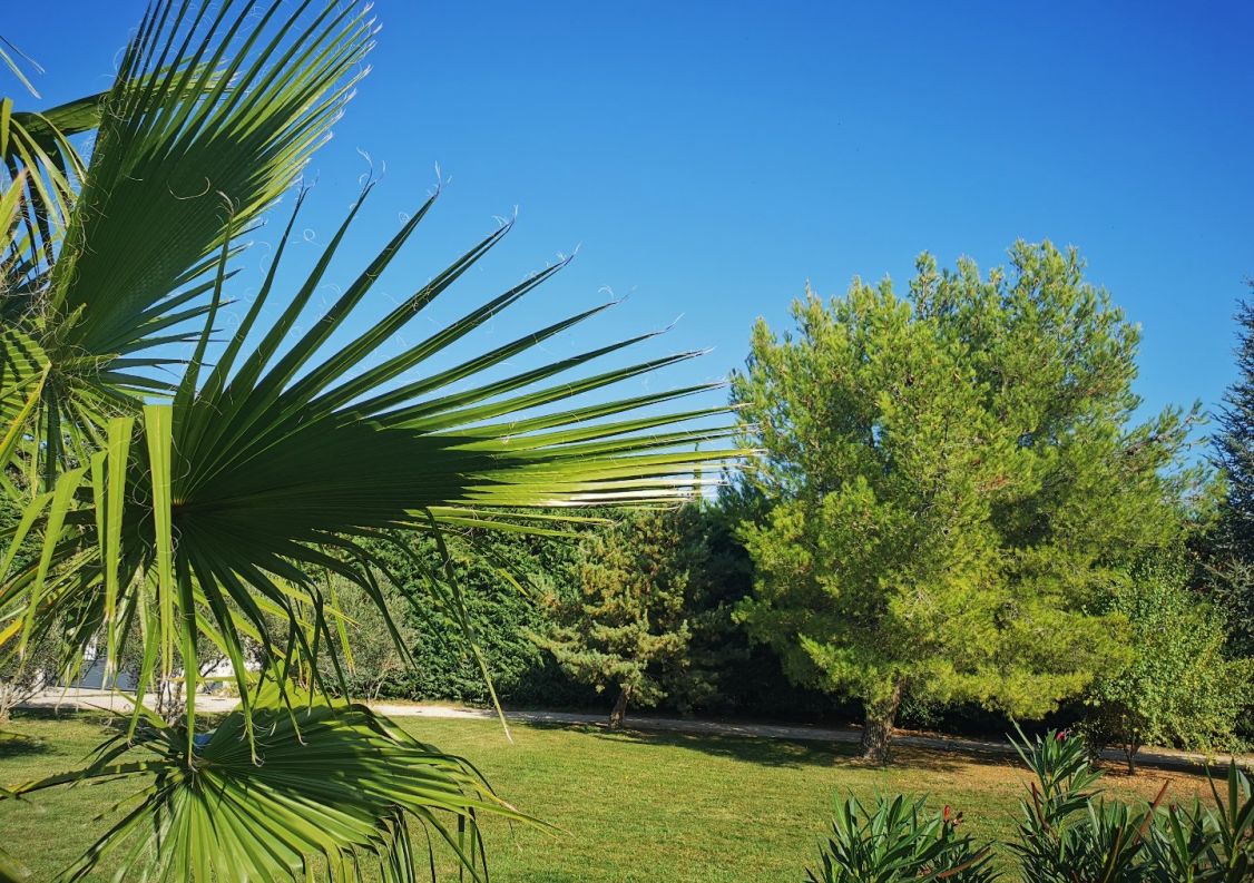 vente Maison en pierre L'isle Sur La Sorgue