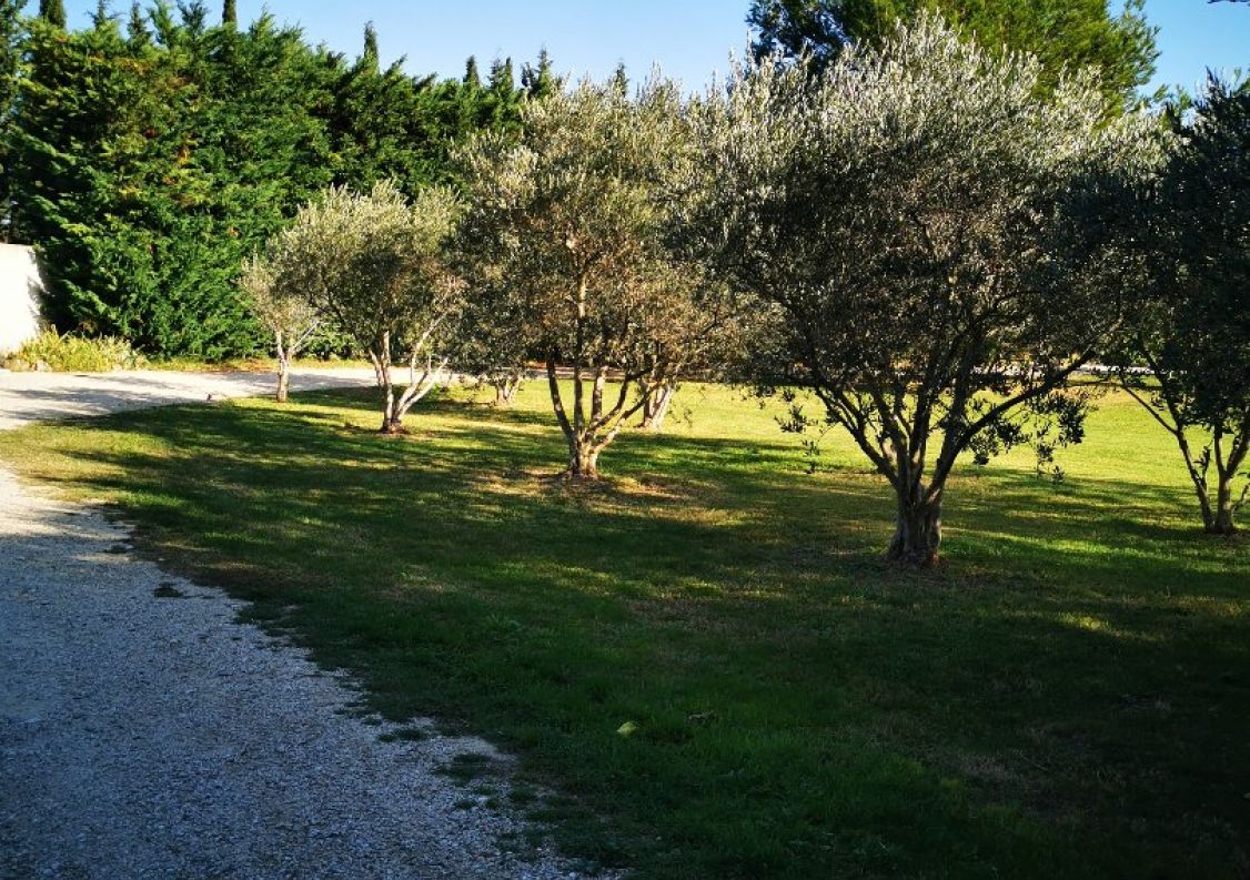 vente Maison en pierre L'isle Sur La Sorgue