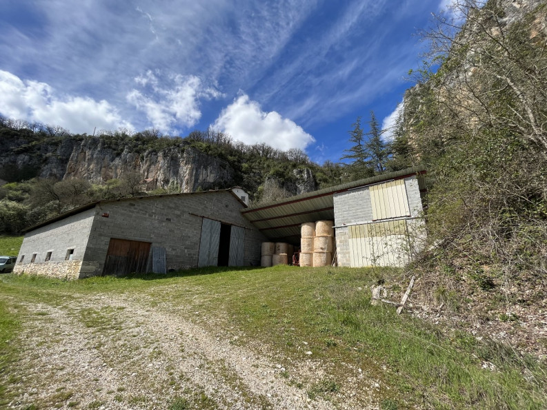vente Hangar Saint Sulpice - Photo 8