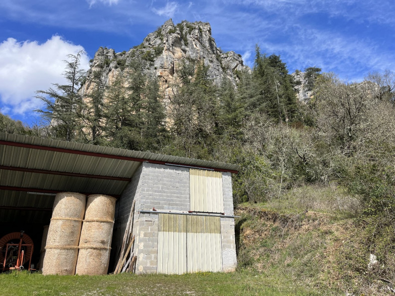 vente Hangar Saint Sulpice - Photo 9