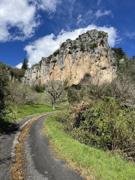 vente Hangar Saint Sulpice - Photo 10