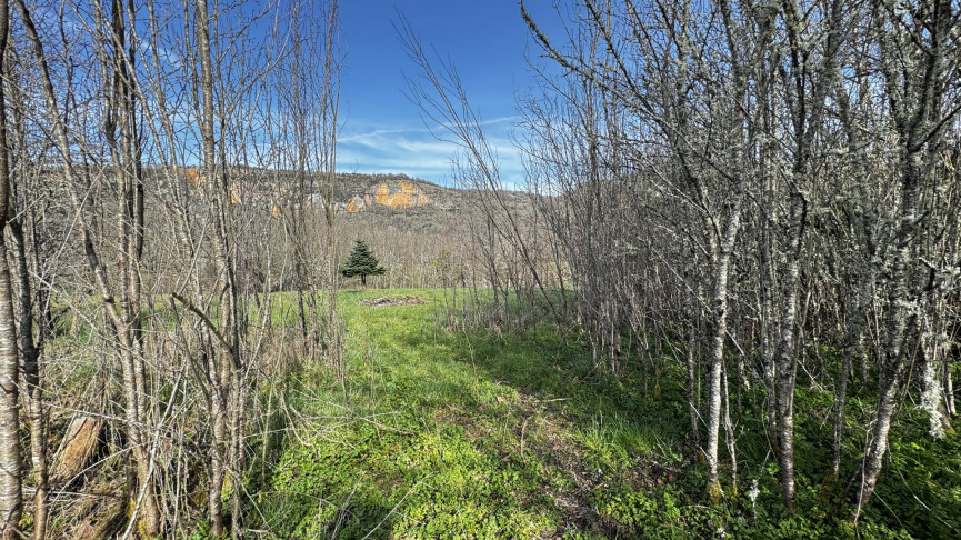 sale Maison Cenevieres - Photo 7