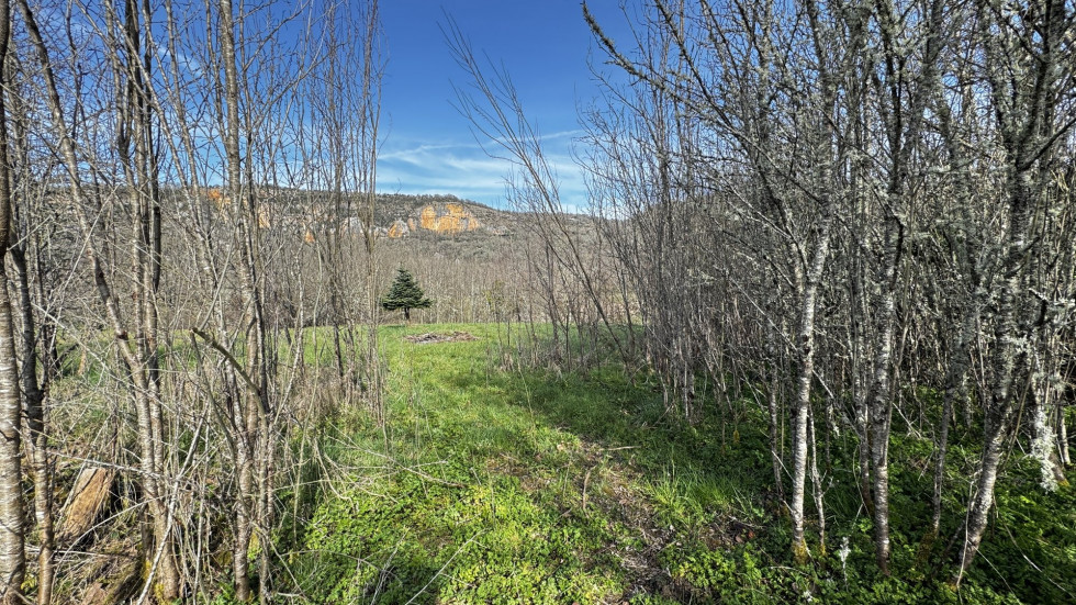 vente Maison Cenevieres - Photo 7