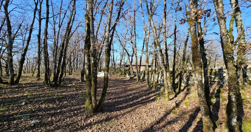 vente Terrain Saint Chels