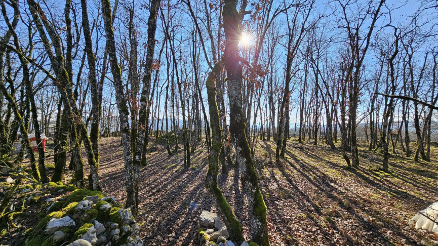 vente Terrain Saint Chels - Photo 14