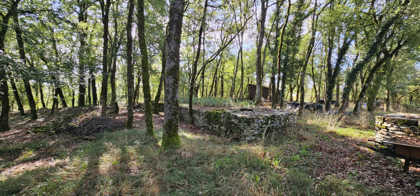 sale Maison Promilhanes - Photo 5