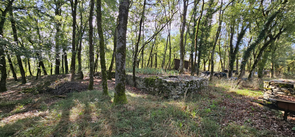 vente Maison Promilhanes - Photo 5