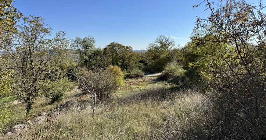 vente Maison Grealou