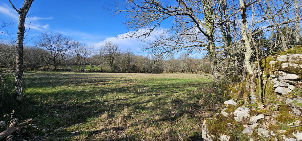 vente Maison de campagne Saillac - Photo 4