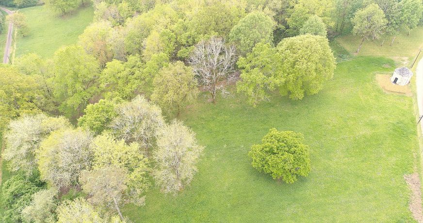 vente Propriété Luzech