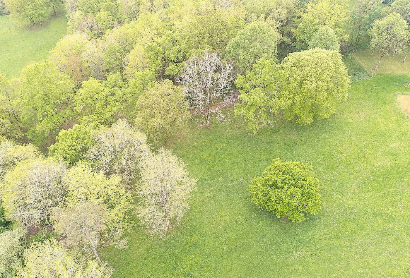 vente Propriété Luzech - Photo 3