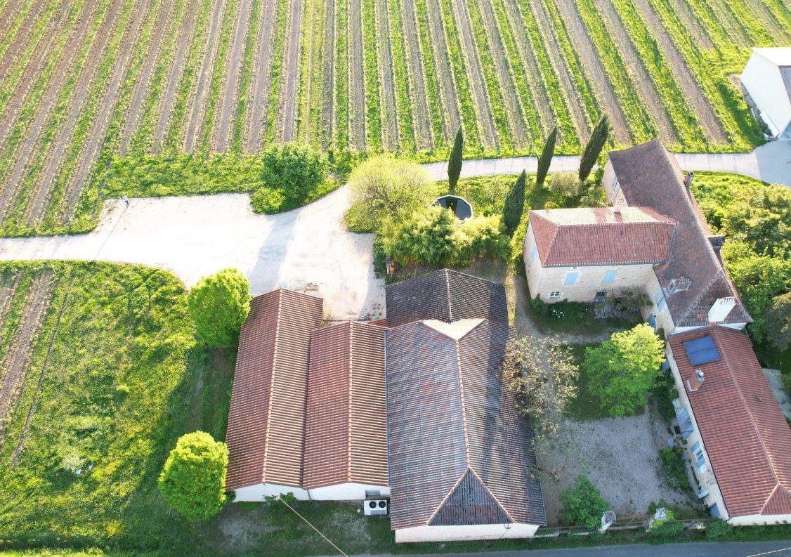 vente Propriété viticole Duravel