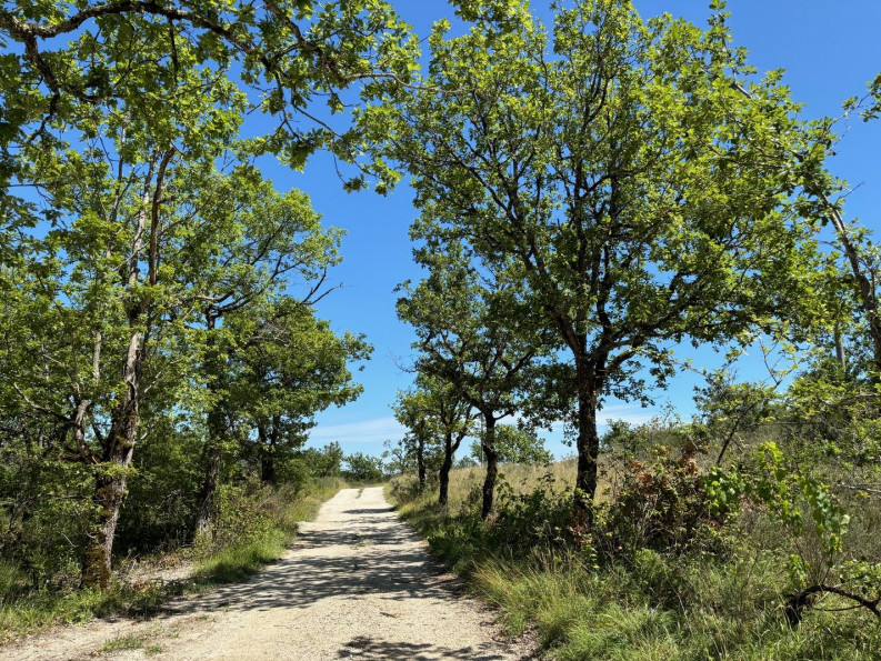 vente Maison Saint Pantaleon - Photo 3