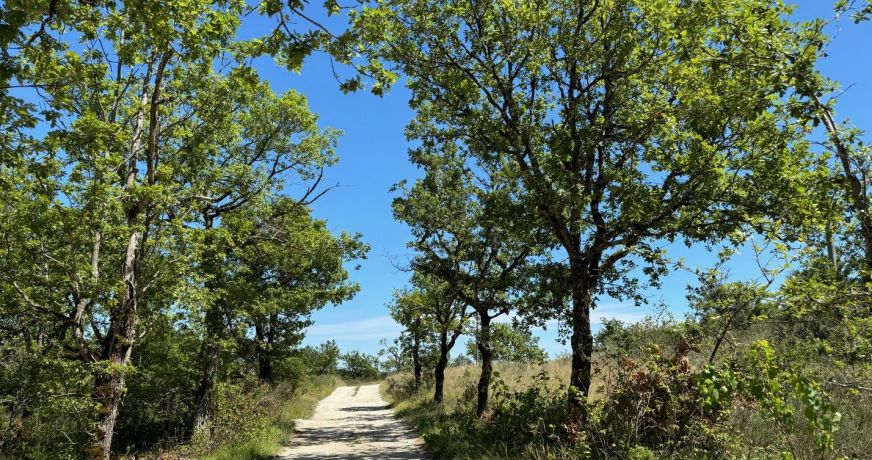 vente Maison Saint Pantaleon