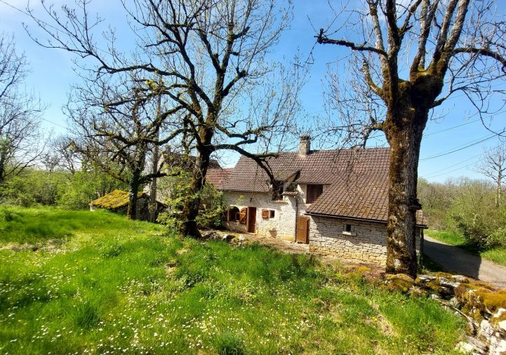 vente Maison Saillac