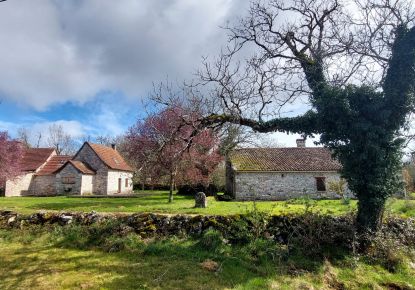 vente Maison Saillac