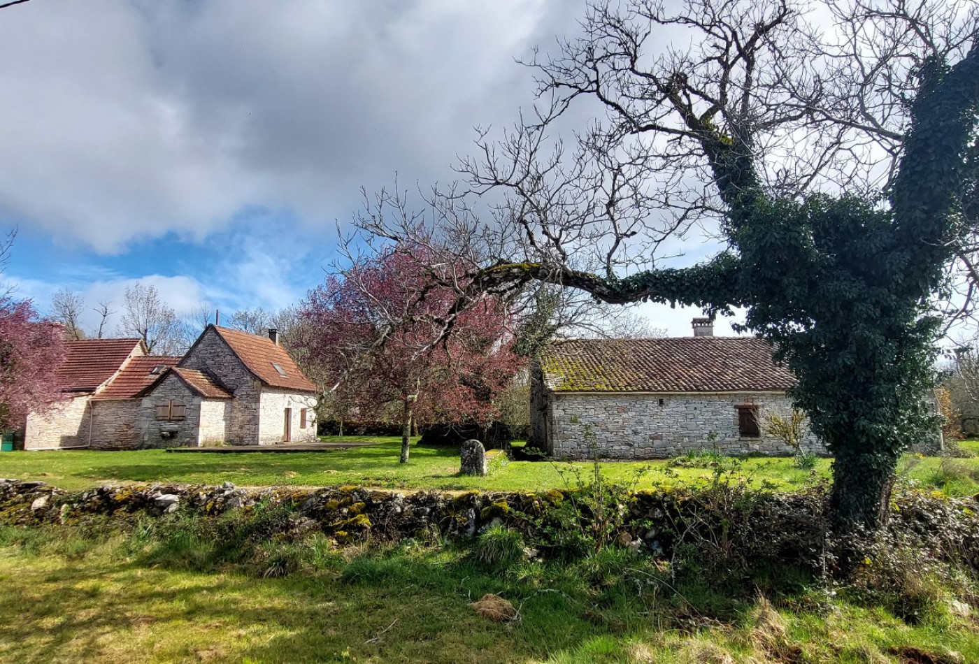 vente Maison Saillac - Photo 1