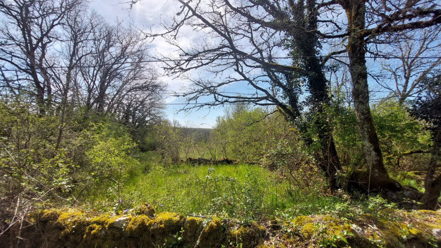 vente Maison Saillac - Photo 19