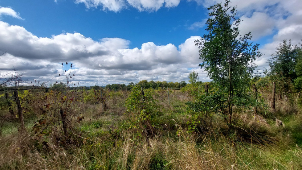 vente Maison à rénover Puylaroque - Photo 8