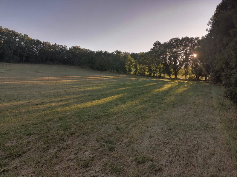 vente Maison en pierre Lalbenque - Photo 20