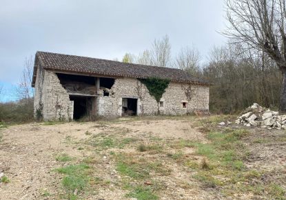 vente Maison à rénover Saint Paul De Loubressac