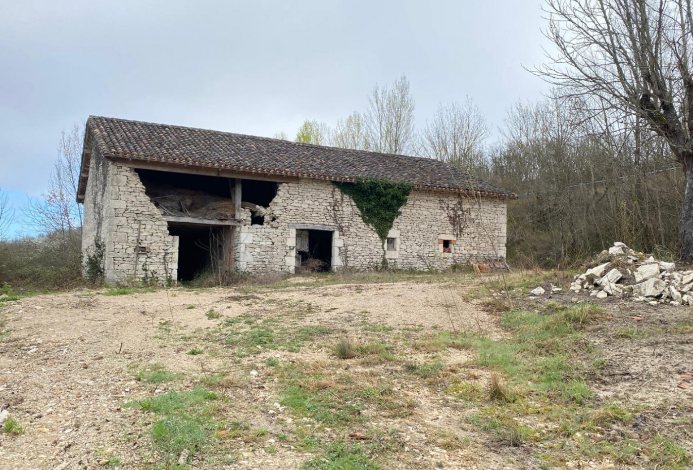 vente Maison à rénover Saint Paul De Loubressac - Photo 1