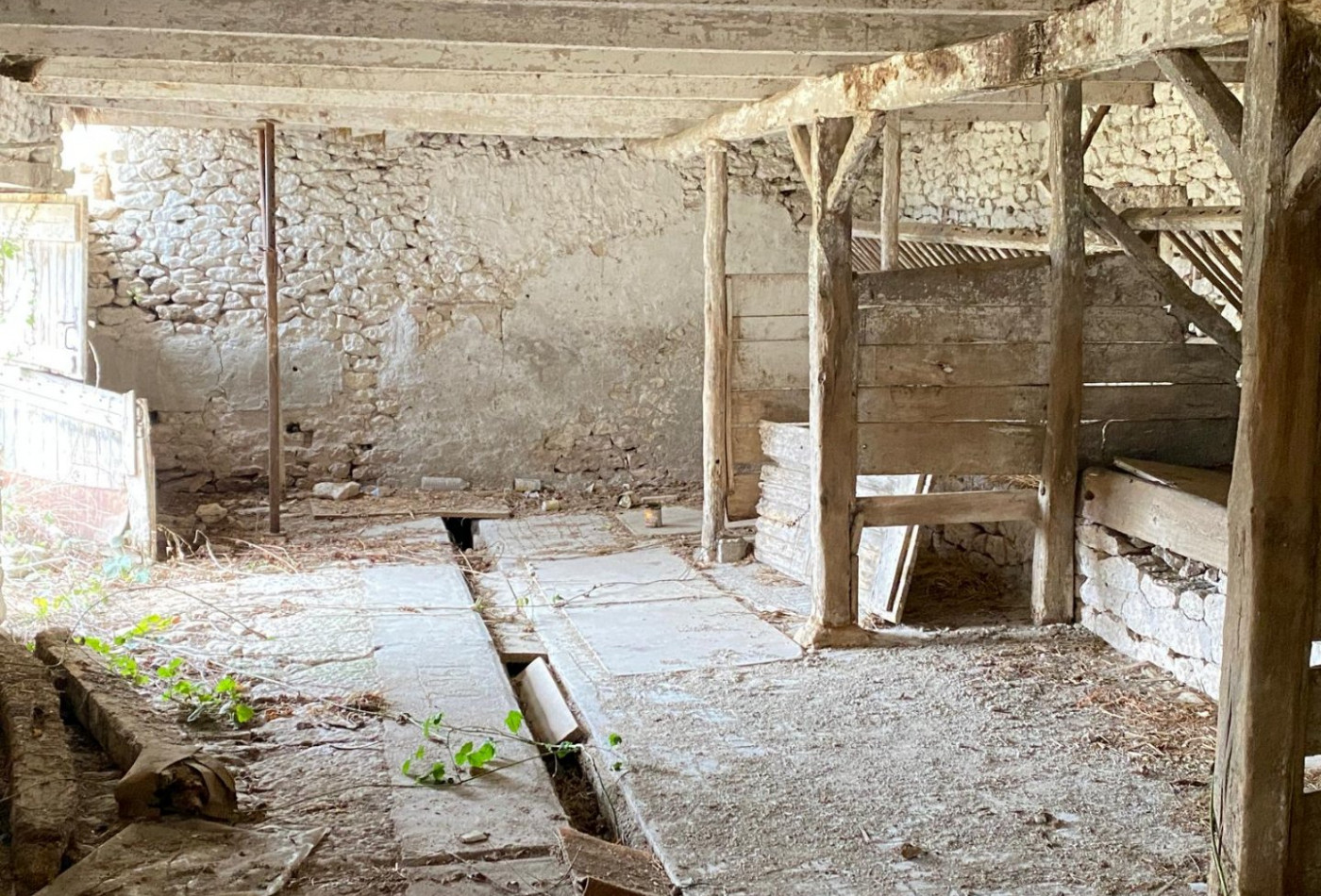 vente Maison à rénover Saint Paul De Loubressac - Photo 2