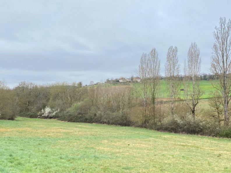 vente Maison à rénover Saint Paul De Loubressac - Photo 7