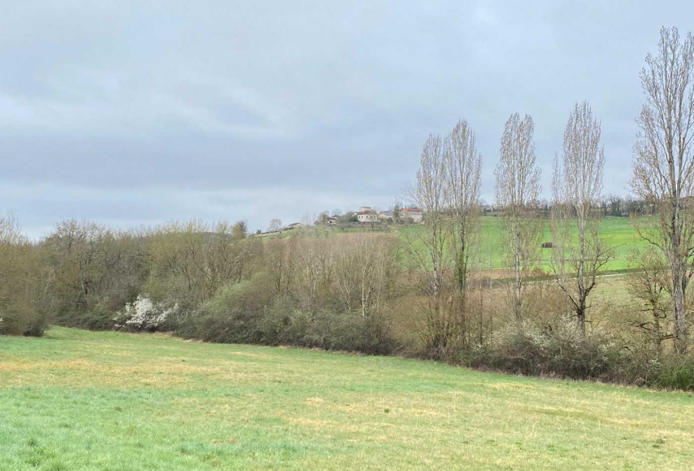 vente Maison à rénover Saint Paul De Loubressac - Photo 7