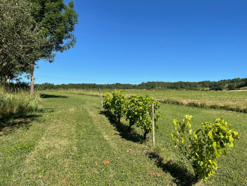 sale Maison Saint Laurent Lolmie - Photo 2