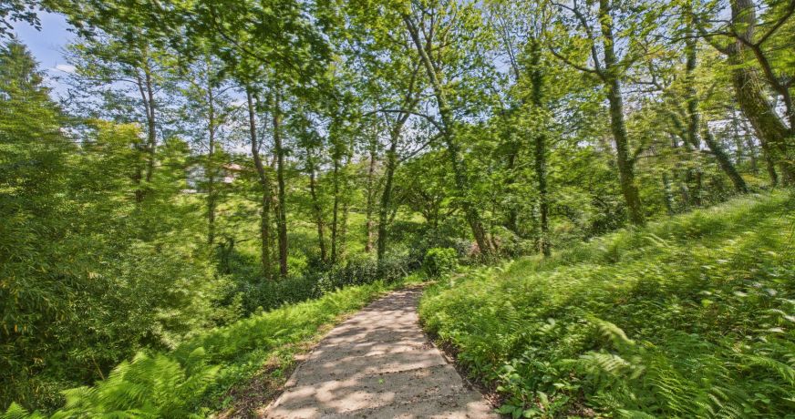 vente Maison Arbonne