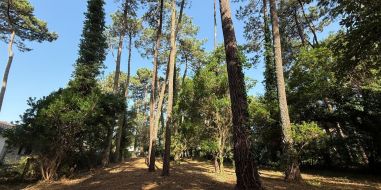 vente Soorts Hossegor