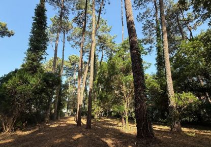 vente Terrain Soorts Hossegor