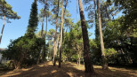vente Terrain Soorts Hossegor