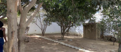 vente Maison Saly
