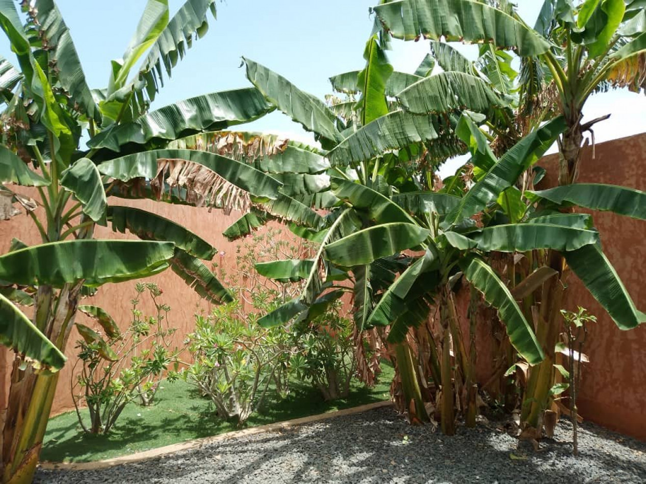 à vendre Villa Nguerigne - Photo 20