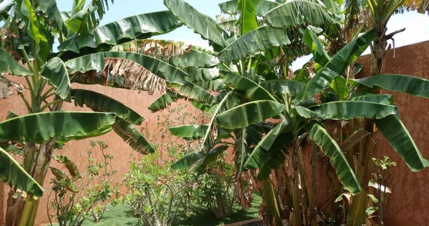 vente Villa Nguerigne