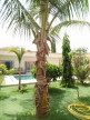 vente Villa Nguerigne