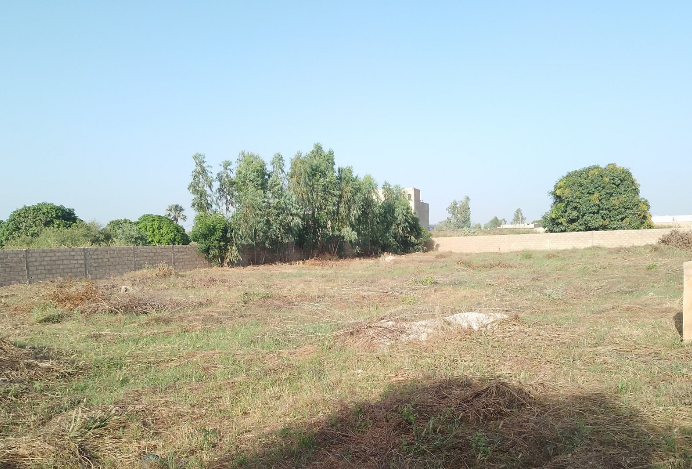 vente Terrain constructible Ngaparou - Photo 3