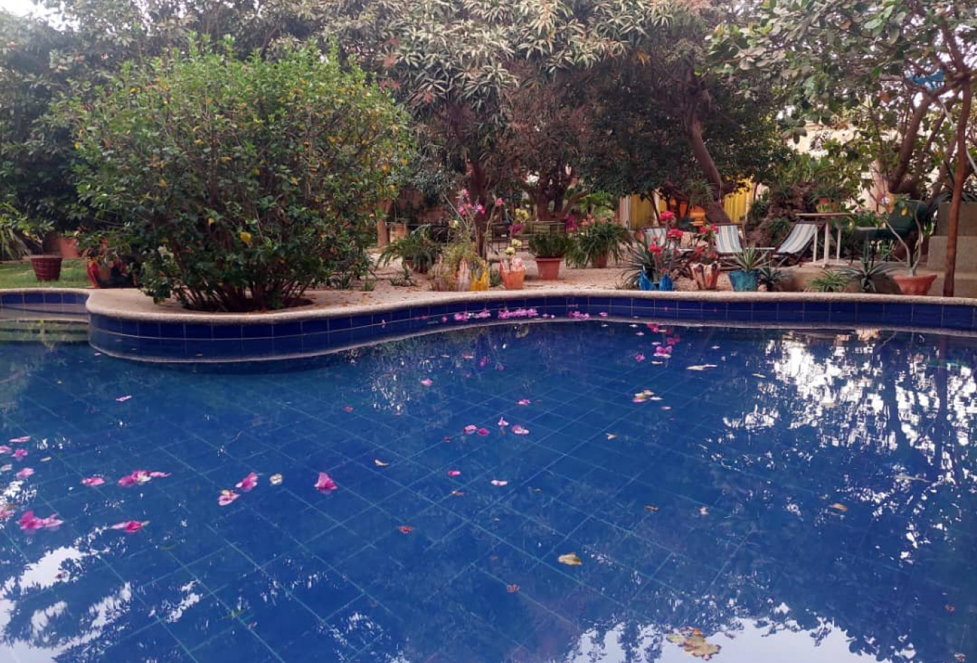 vente Propriété Ngaparou - Photo 6