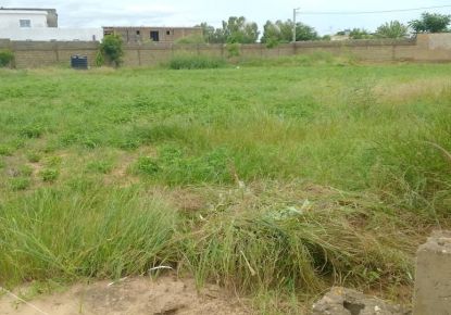 vente Terrain constructible Nguerigne