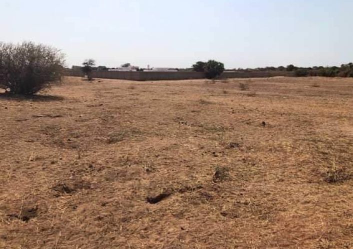 à vendre Terrain constructible Saly