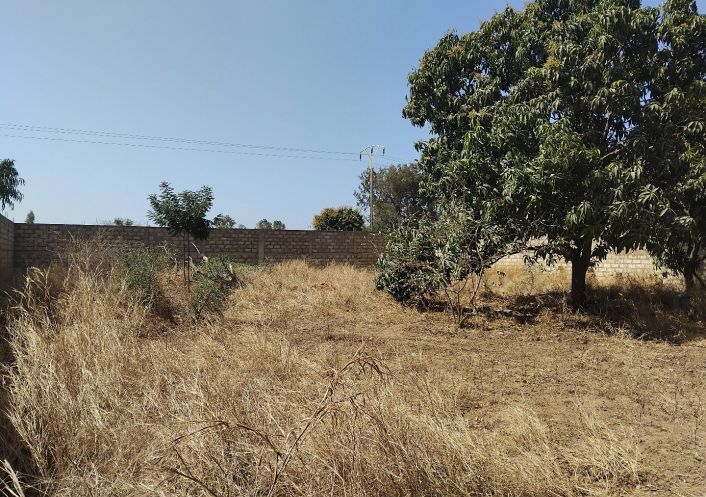 à vendre Terrain constructible Nguerigne