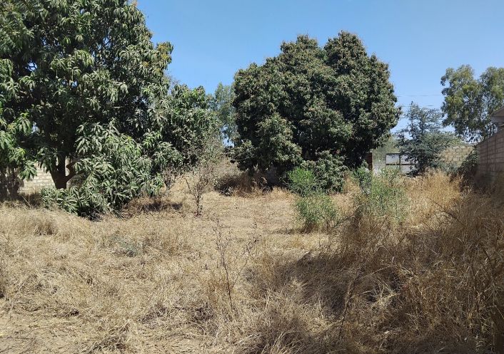 à vendre Terrain constructible Nguerigne