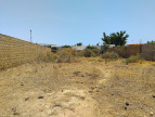 vente Terrain constructible Saly